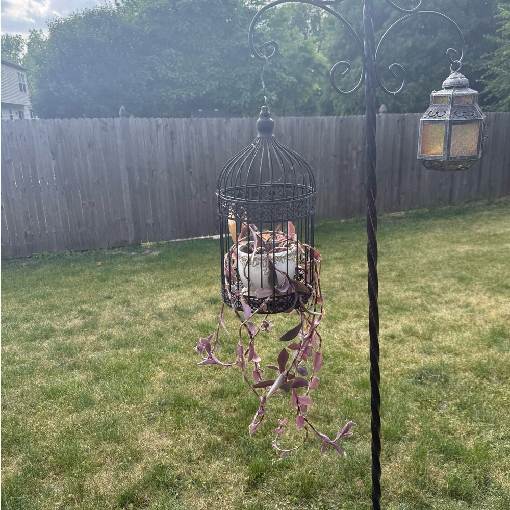Decorative Black Metal Birdcage